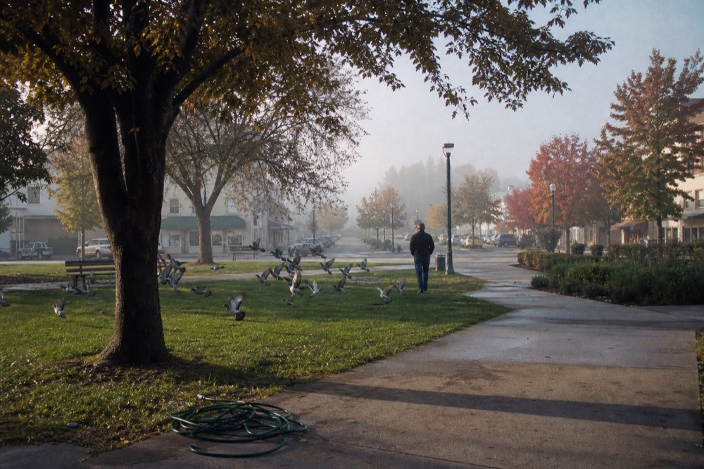 A town square with green lawns, trees, and surrounding low storefronts, no text, no logos, no people