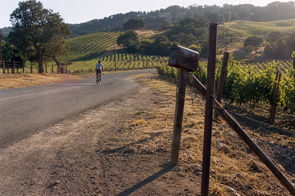 Open country road curving between sunlit vineyard hills, no text, no logos, no people