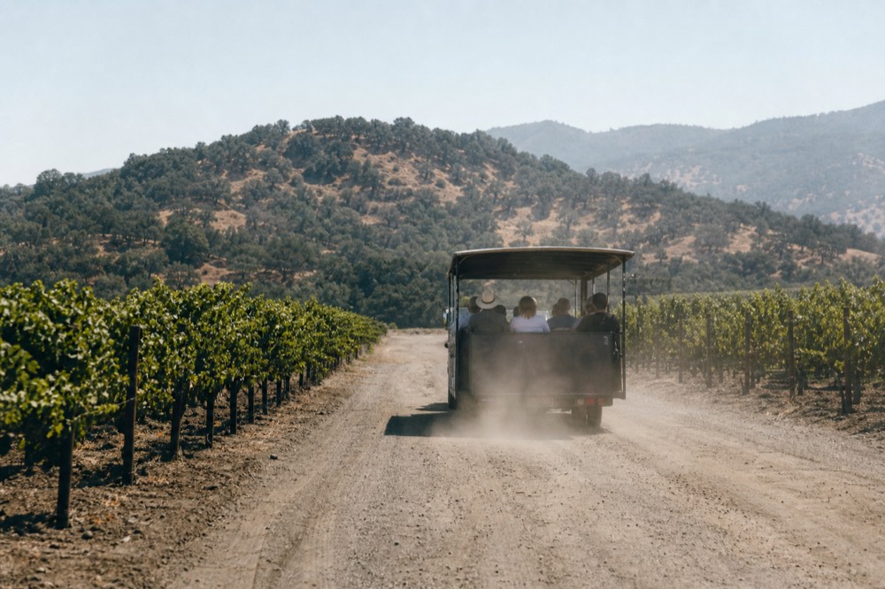 Open-air trolley on a Sonoma Valley road between wineries, no text, no logos, no people
