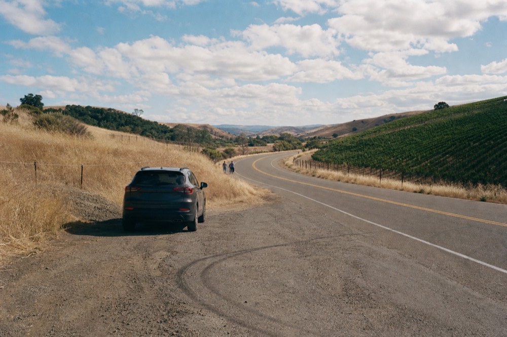 Winding two-lane road through vineyards with golden hills, no text, no logos, no people