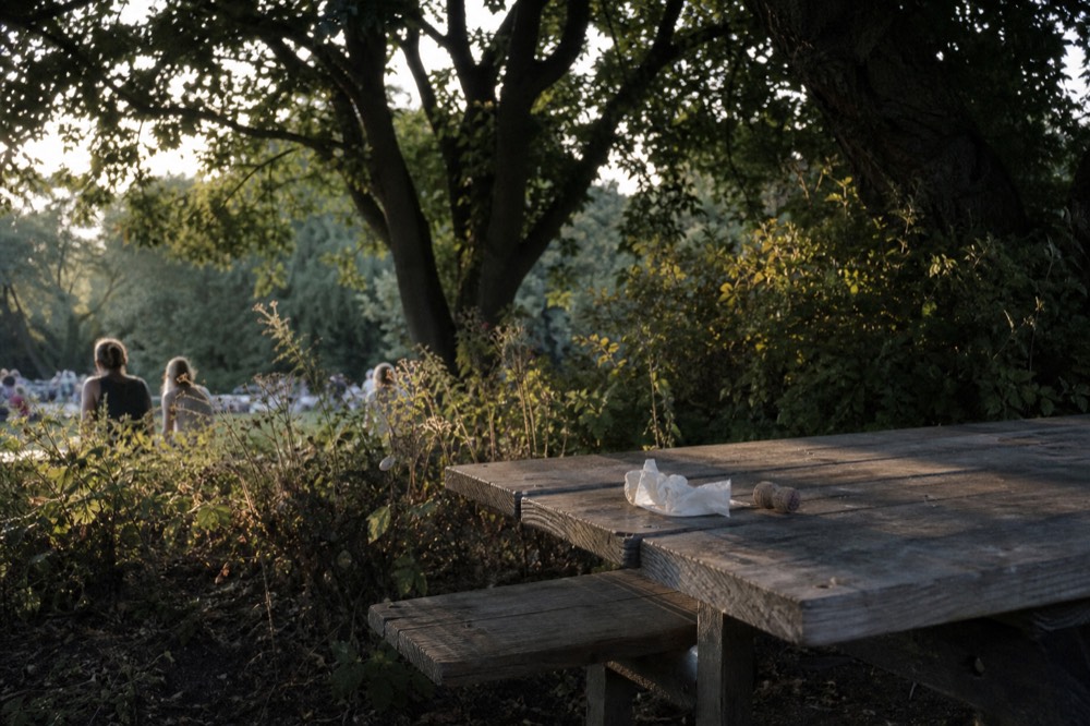 Picnic table beside a garden with shade trees in late afternoon light, no text, no logos, no people