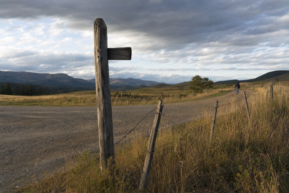 Signpost at a rural crossroads beside a vineyard fence, no text, no logos, no people
