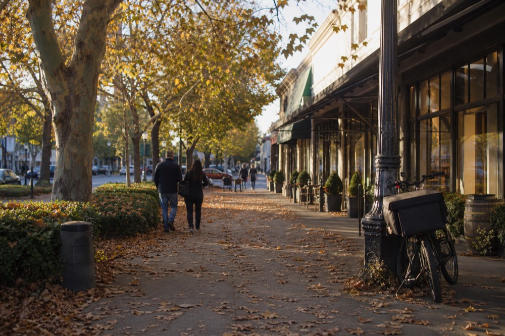 Healdsburg plaza with shops and people strolling, no text, no logos, no people