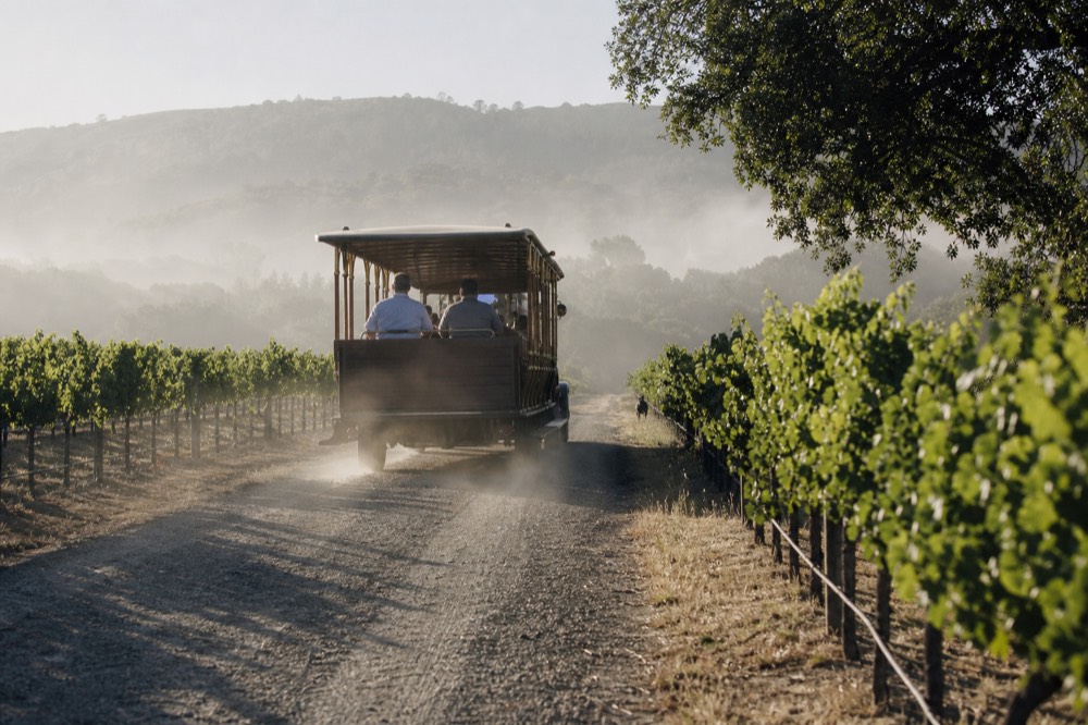 Replica vintage cable car traveling on a road between vineyards, no text, no logos, no people
