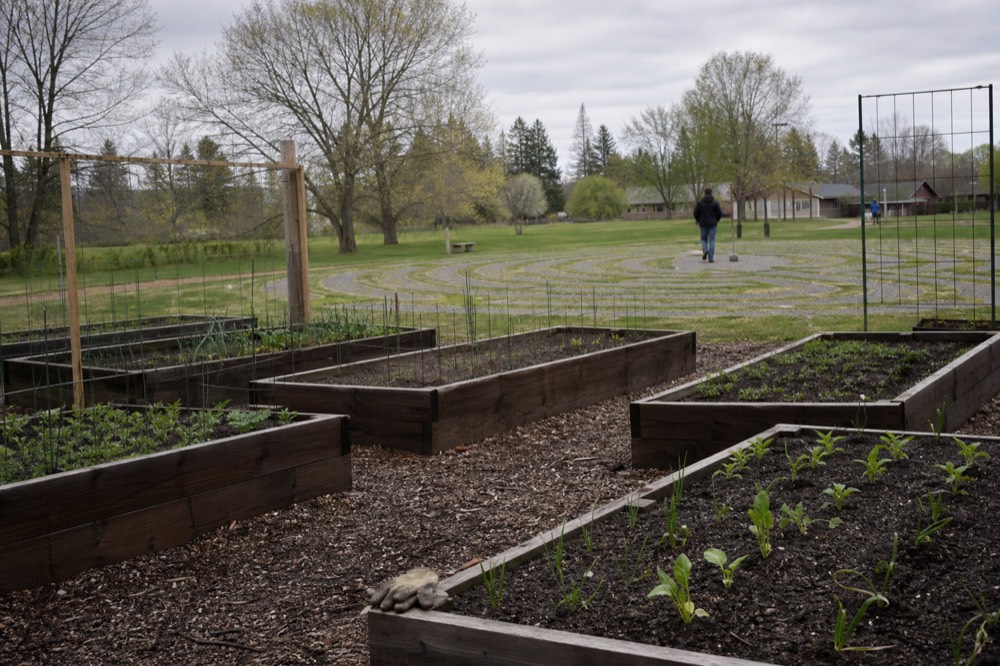 Sonoma Garden Park with vegetable beds and a labyrinth, no text, no logos, no people