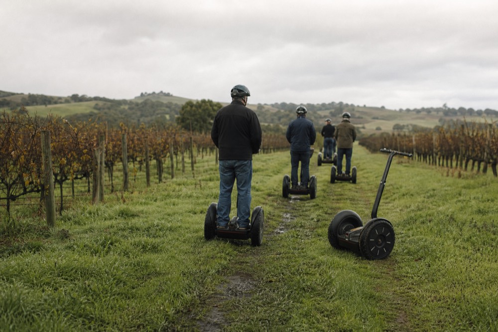 Segway tour group on a vineyard path, no text, no logos, no people